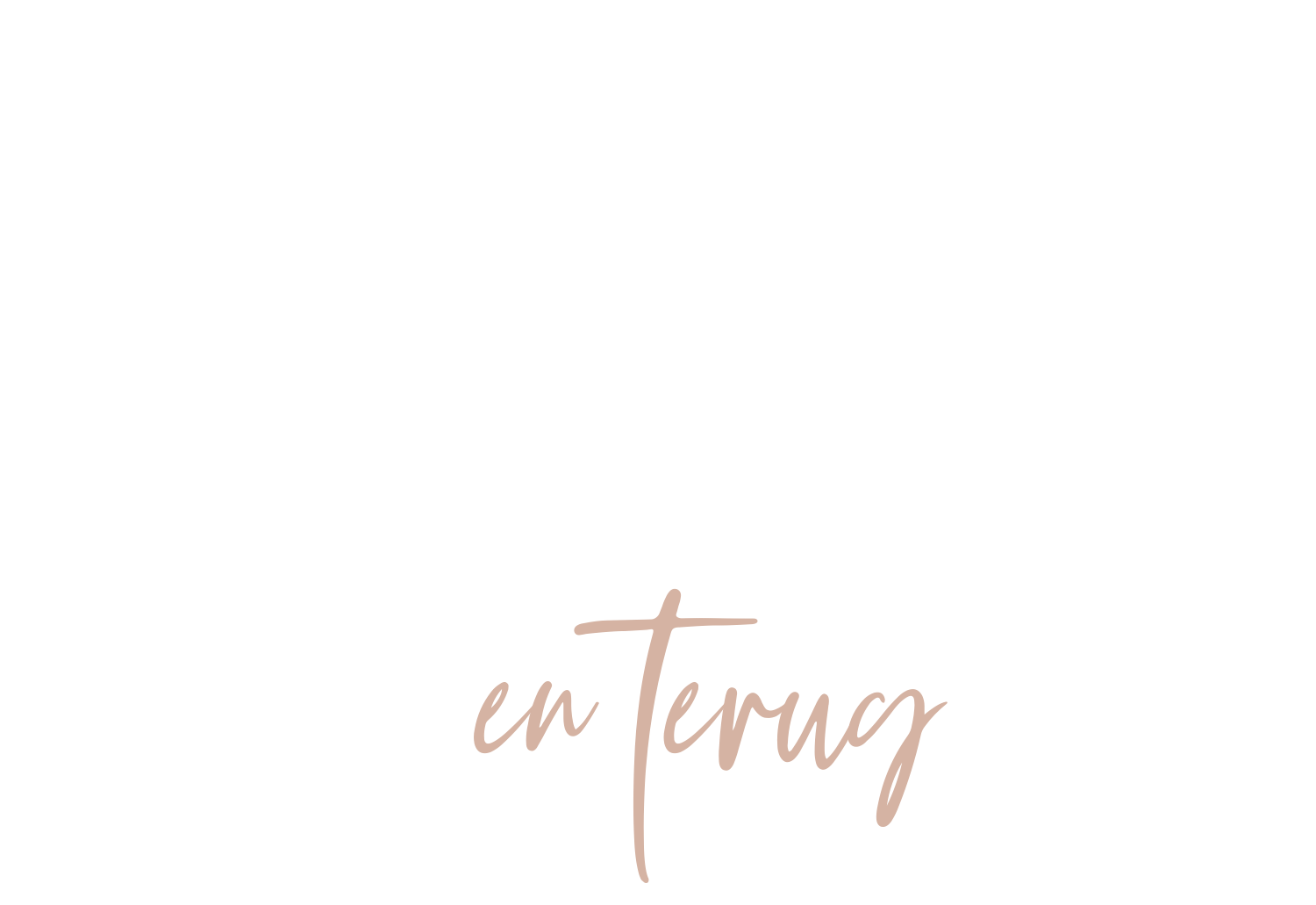 Tot de maan en terug